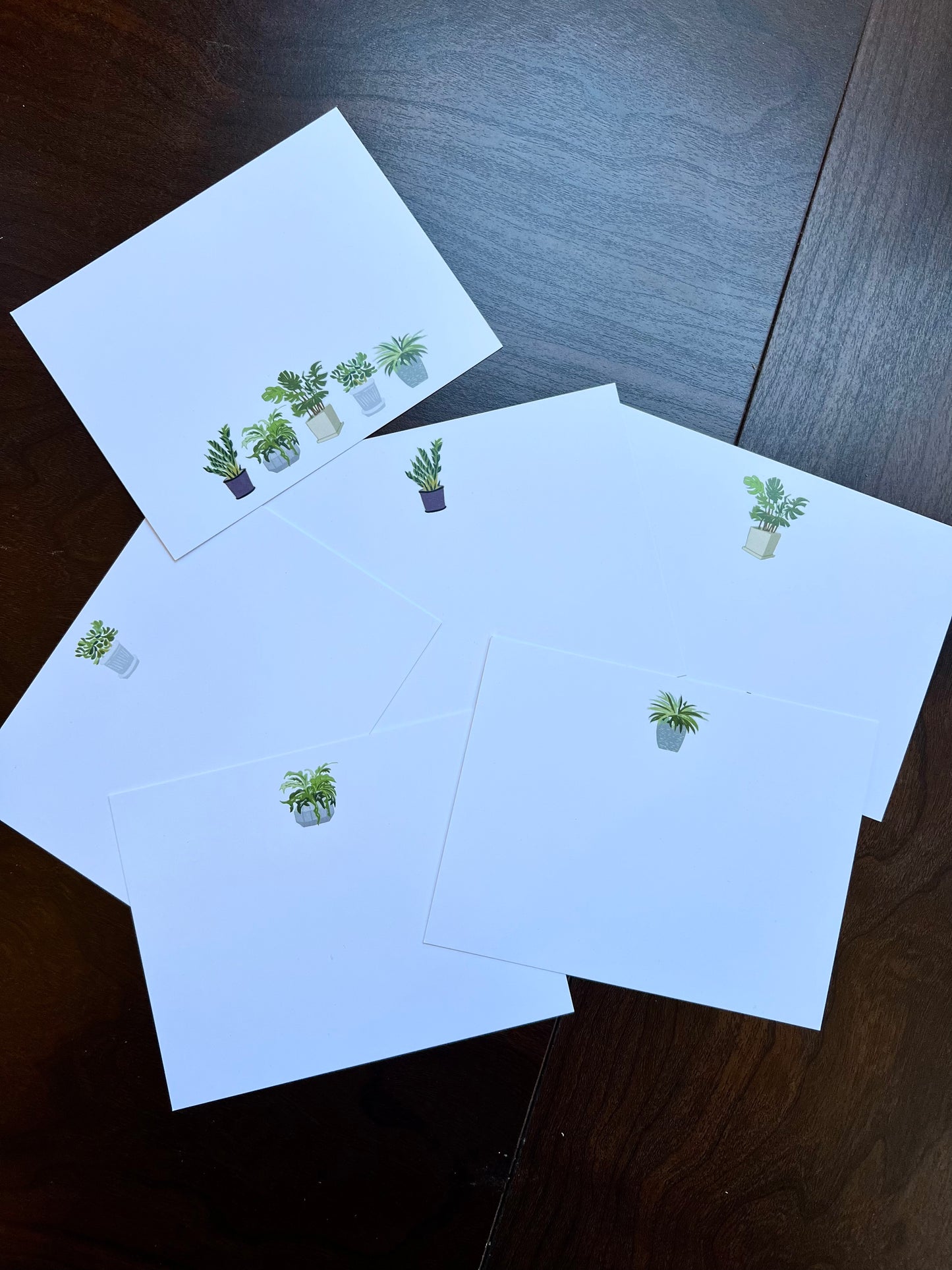 Boxed set of six notecards- potted plants