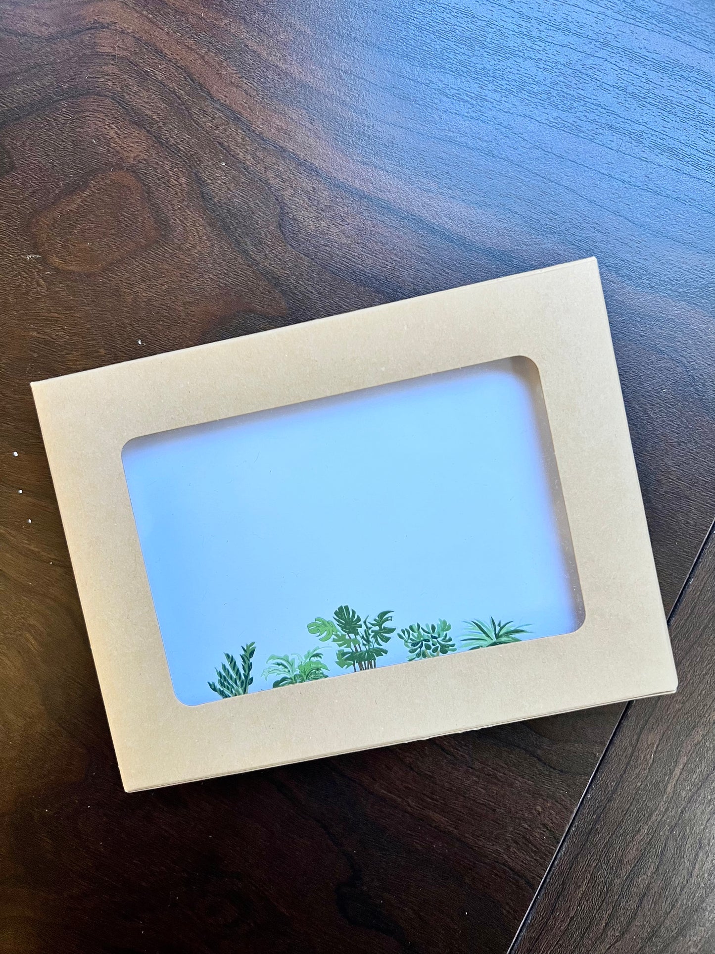Boxed set of six notecards- potted plants