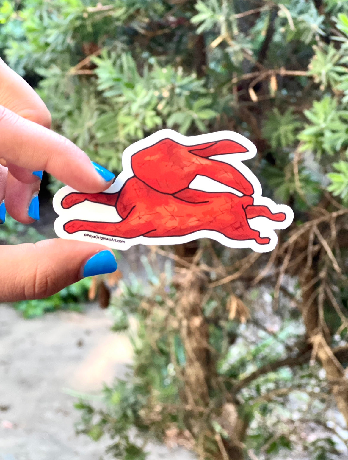 Red Rabbit magnet