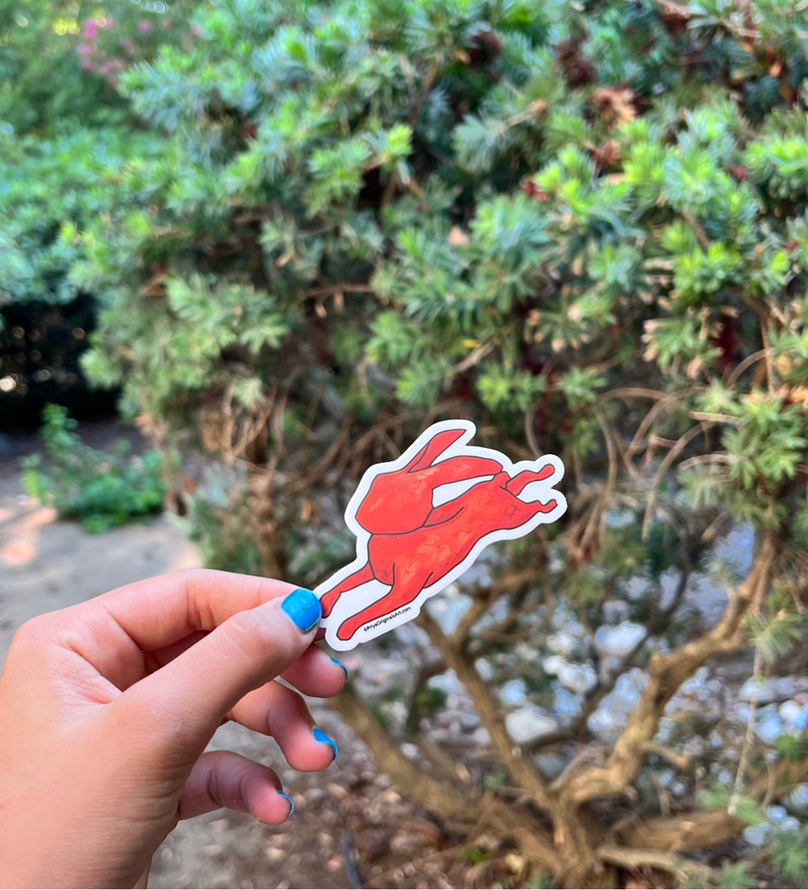 Red Rabbit magnet