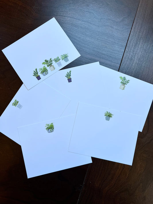 Boxed set of six notecards- potted plants