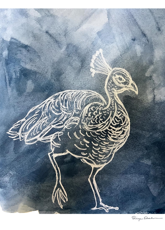 Peacock Dreams I