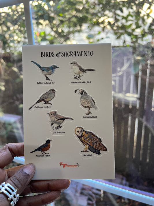 Sacramento Birds Illustrated 4x6" Sticker Sheet - 7 Native Species