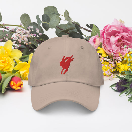 Red Rabbit ball cap (online only)